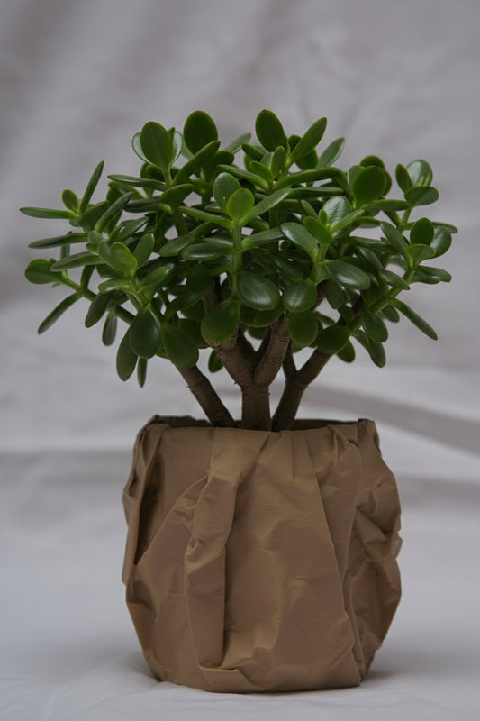 Paper Pot #01 - Blumentopf